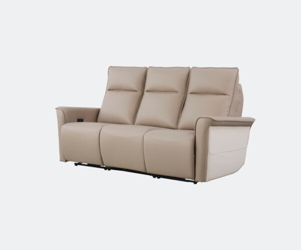 Sofa_2301_2 #2301 Norton 慳位三座位電鉸梳化