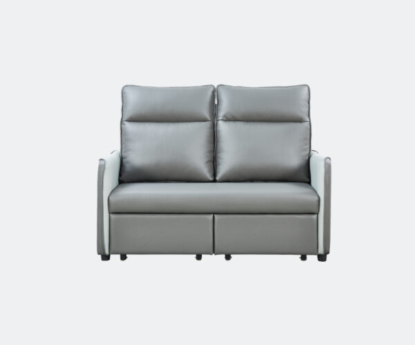 Sofa_2329_1 #2329 Alma 兩座位活動梳化床